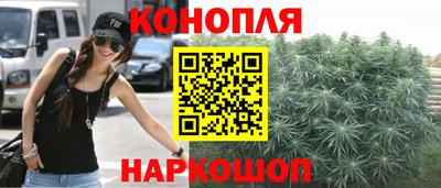 крисы Заводоуковск