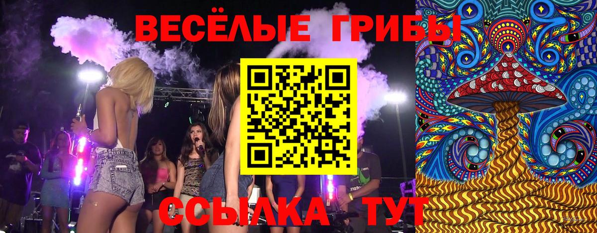 Галлюциногенные грибы GOLDEN TEACHER Магнитогорск